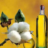 COTTON OIL