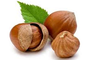 HAZEL NUTS